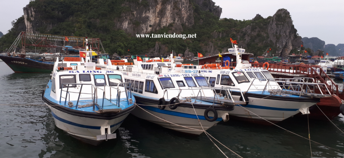 TÀU CAO TỐC TVD-TER2680
