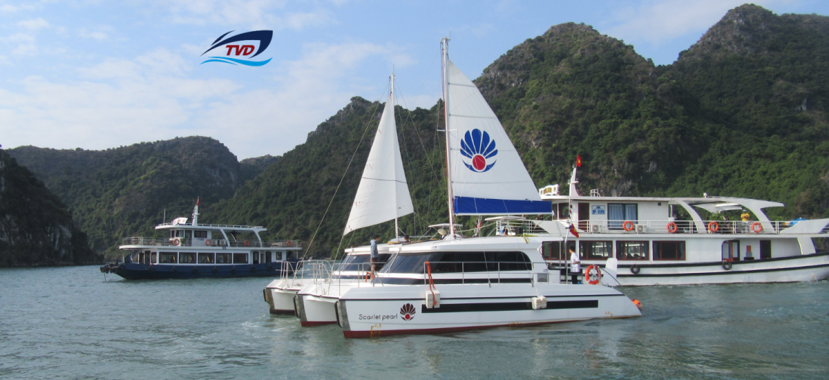 Thuyền Buồm TVD-CATA1120SY 