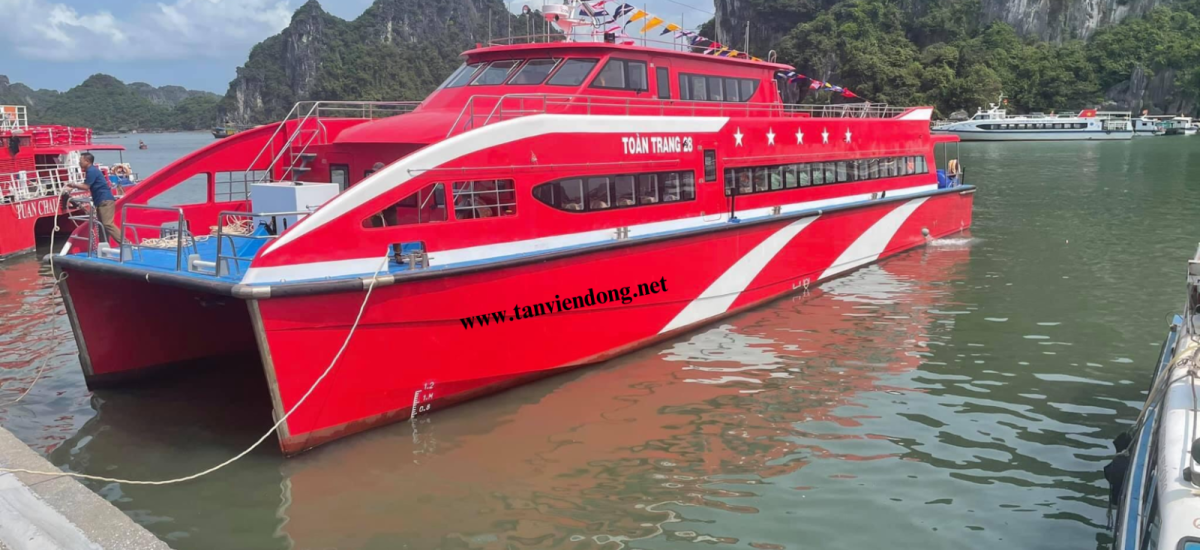 TÀU CAO TỐC 2 THÂN TVD-CATA2988