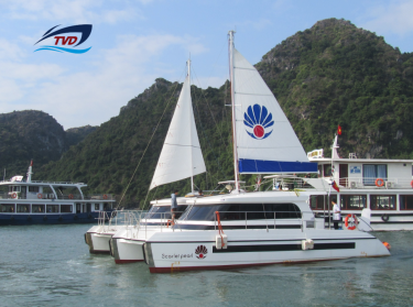 Thuyền Buồm TVD-CATA1120SY 